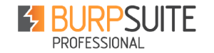 kisspng-burp-suite-penetration-test-vulnerability-proxy-se-5b2f0dfbc31b78.2522075915298104277992